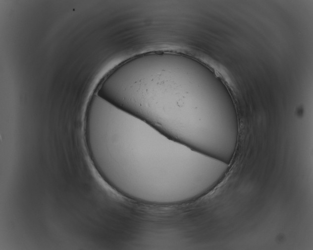 X0000094791135200711160910