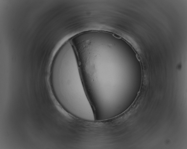 X0000094791136200711160910
