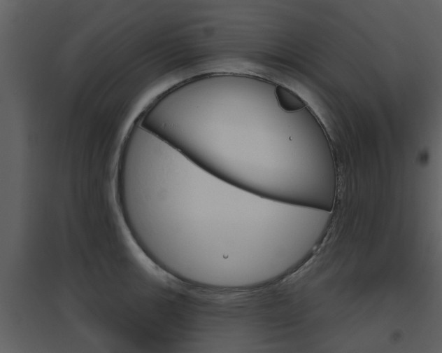 X0000094791139200711160910