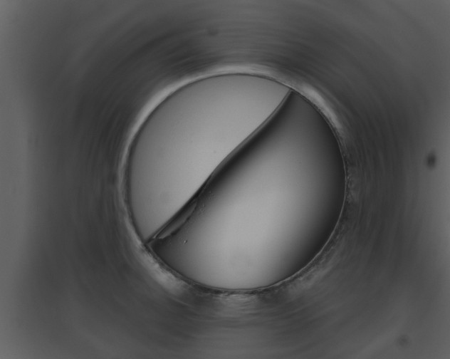X0000094791140200711160910