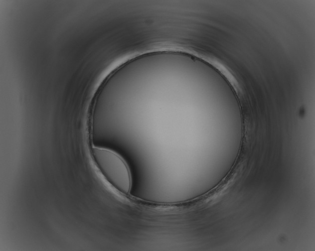 X0000094791142200711160910