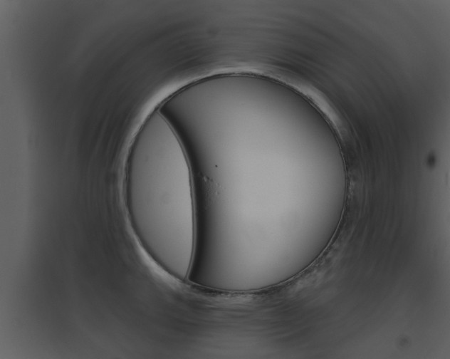 X0000094791143200711160910