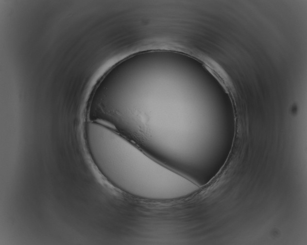 X0000094791144200711160910