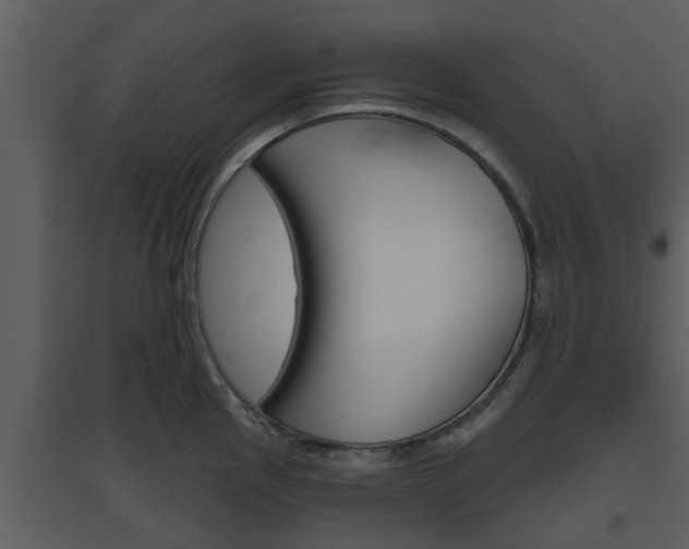 X0000094791145200711160910