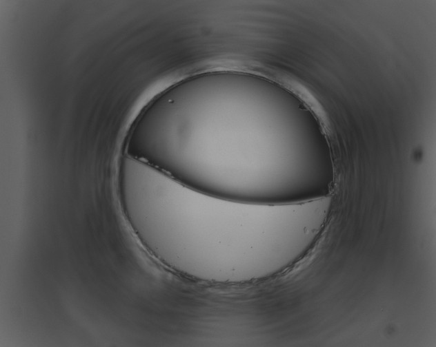 X0000094791146200711160910