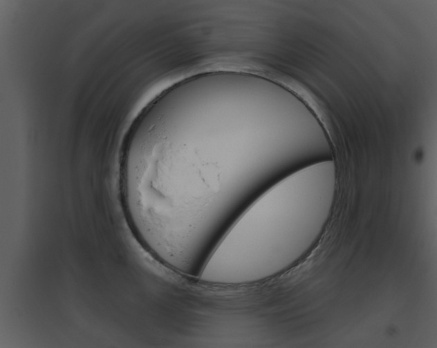 X0000094791147200711160910
