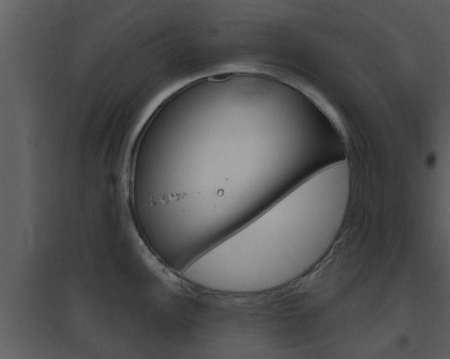 X0000094791148200711160910