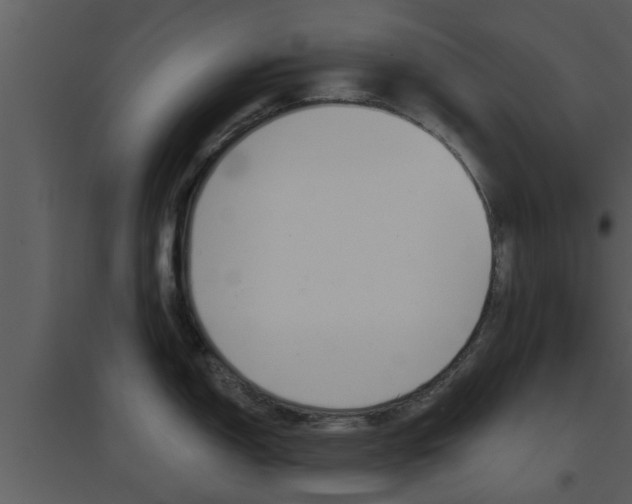 X0000094791150200711160911