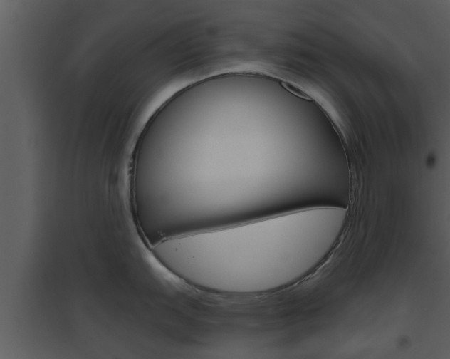 X0000094791151200711160911