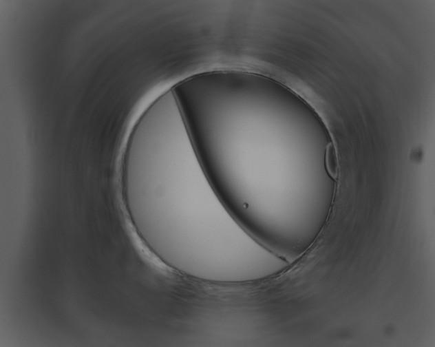 X0000094791152200711160911