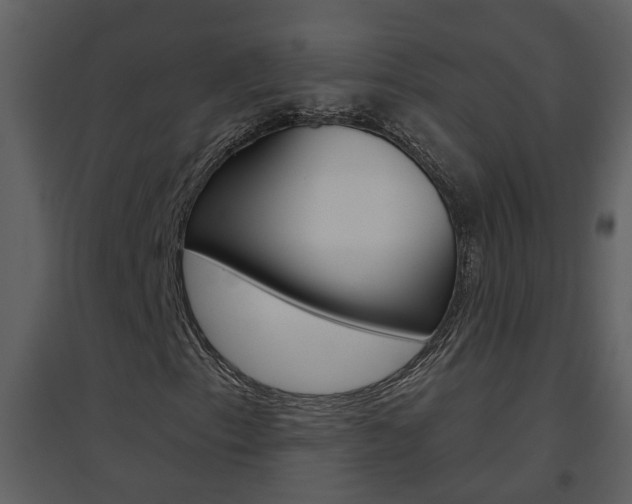 X0000094791153200711160910