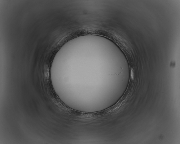 X0000094791155200711160910
