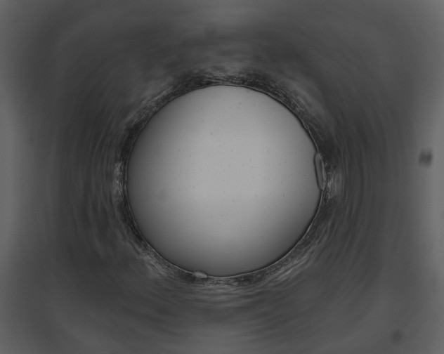 X0000094791156200711160909
