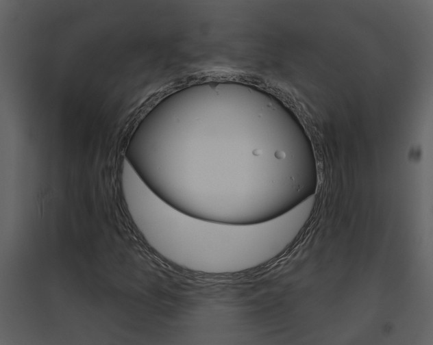 X0000094791157200711160909