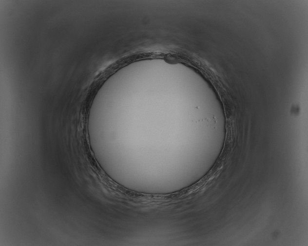 X0000094791158200711160909