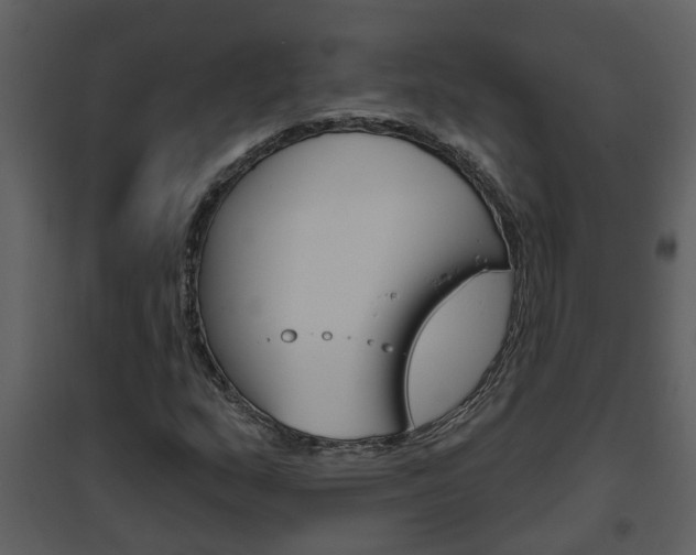 X0000094791159200711160909
