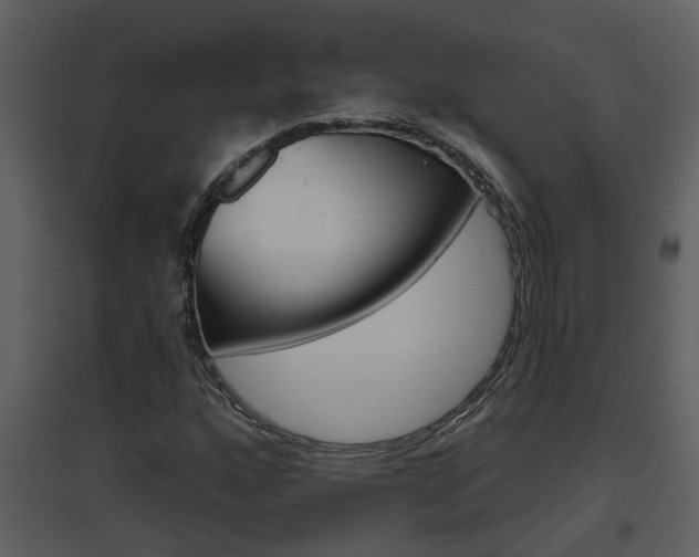 X0000094791160200711160909