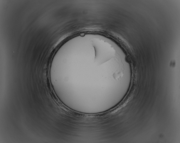 X0000094791162200711160909