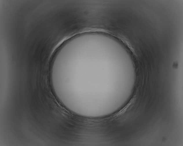 X0000094791165200711160909