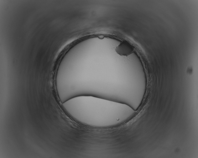 X0000094791166200711160909