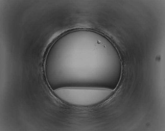 X0000094791168200711160909