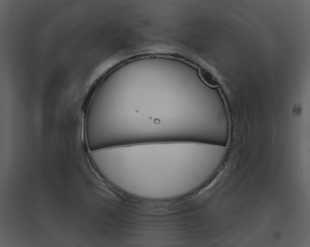 X0000094791171200711160909