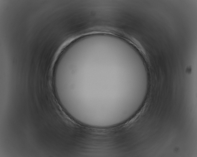 X0000094791172200711160909