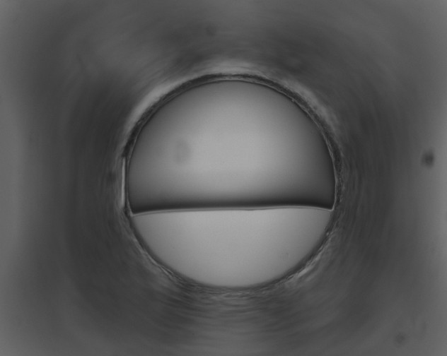 X0000094791175200711160909