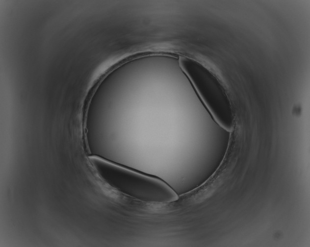 X0000094791176200711160909
