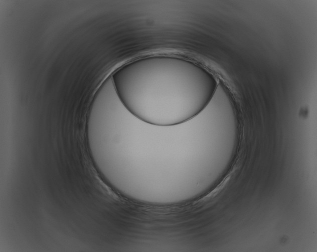 X0000094791177200711160909
