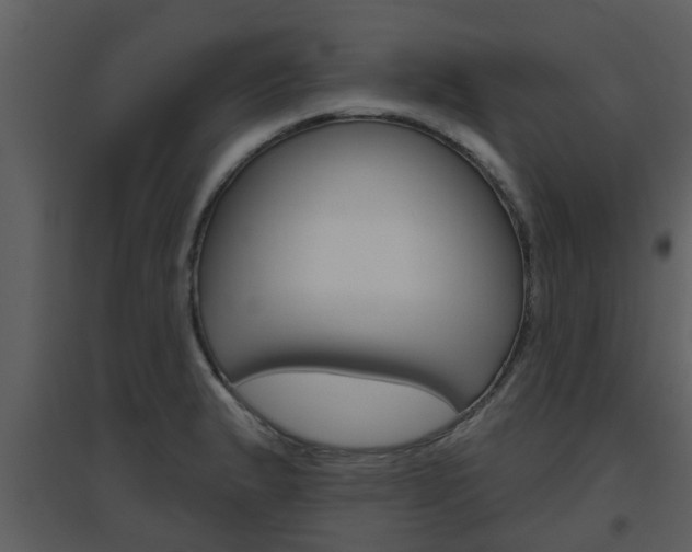 X0000094791183200711160909