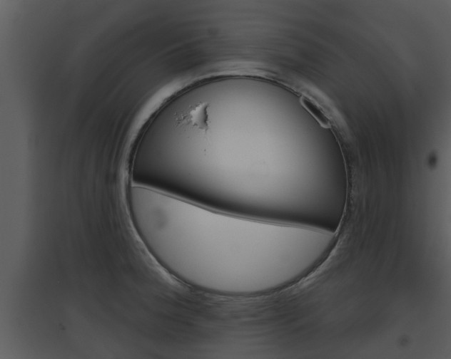 X0000094791188200711160909