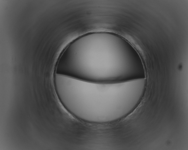 X0000094791189200711160909