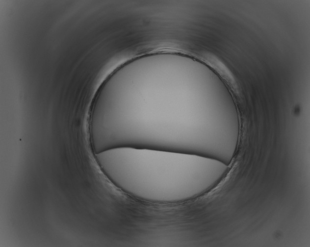 X0000094791190200711160909