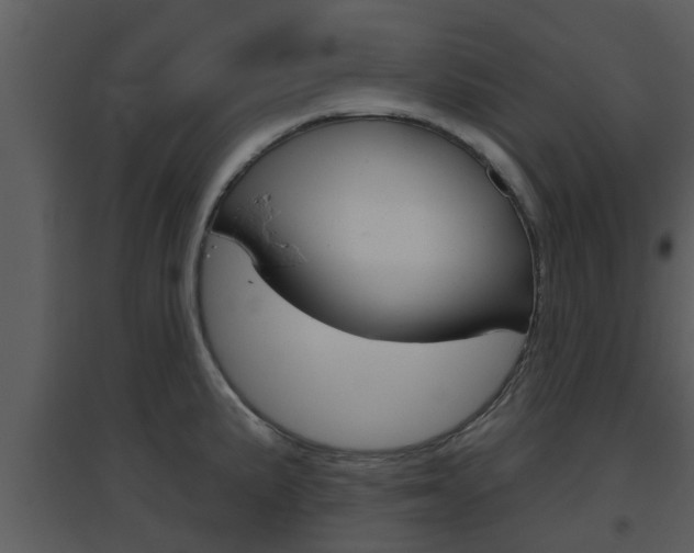 X0000094791191200711160909