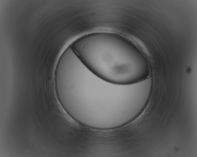 X0000094791192200711160909