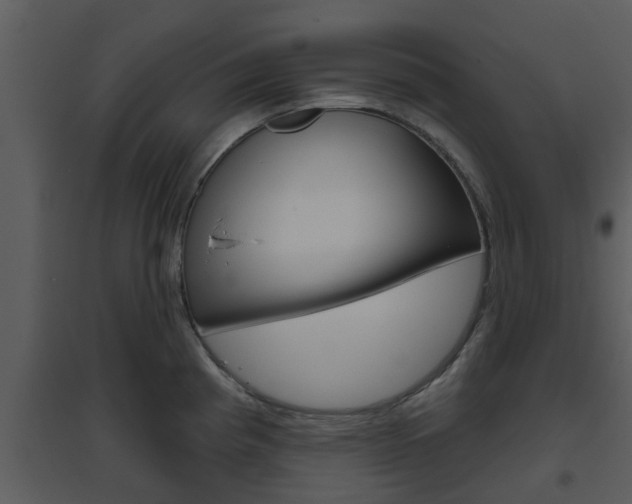 X0000094791193200711160909