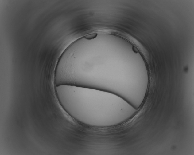 X0000094791194200711160909