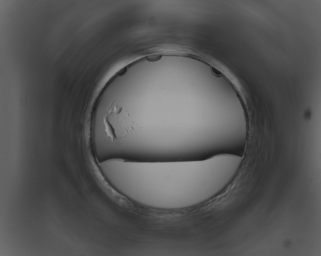 X0000094791195200711160909