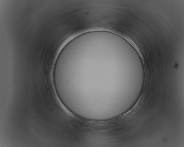 X0000094791197200711160909