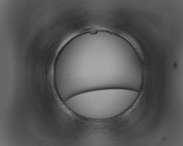 X0000094791198200711160909