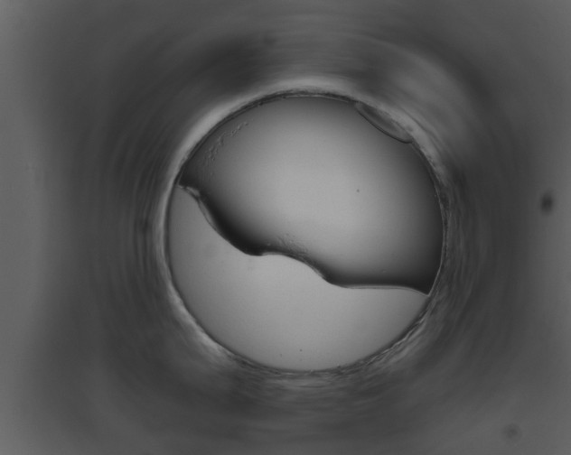 X0000094791199200711160909