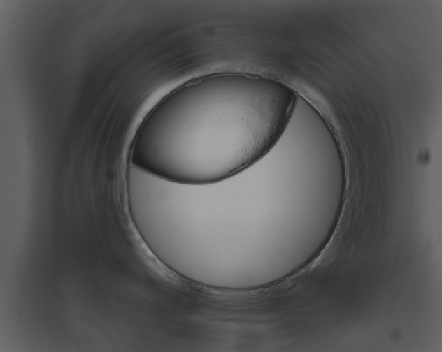 X0000094791200200711160909