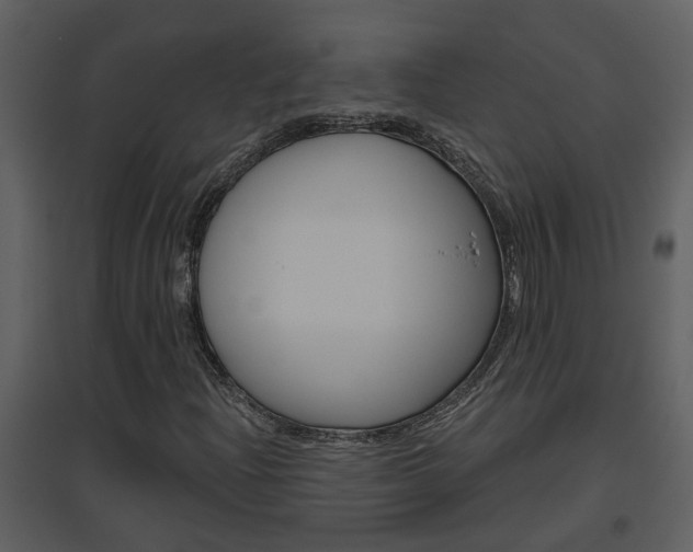 X0000094791204200711160908