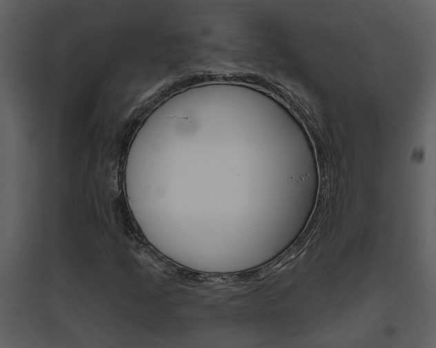 X0000094791205200711160908
