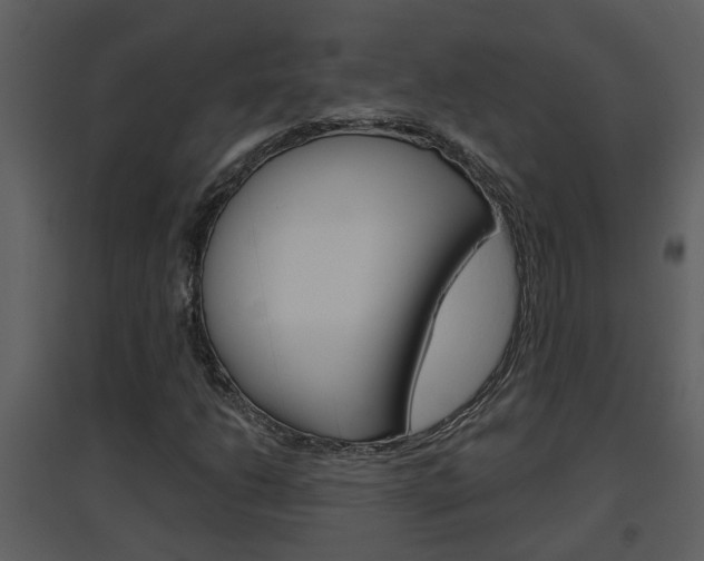 X0000094791206200711160908