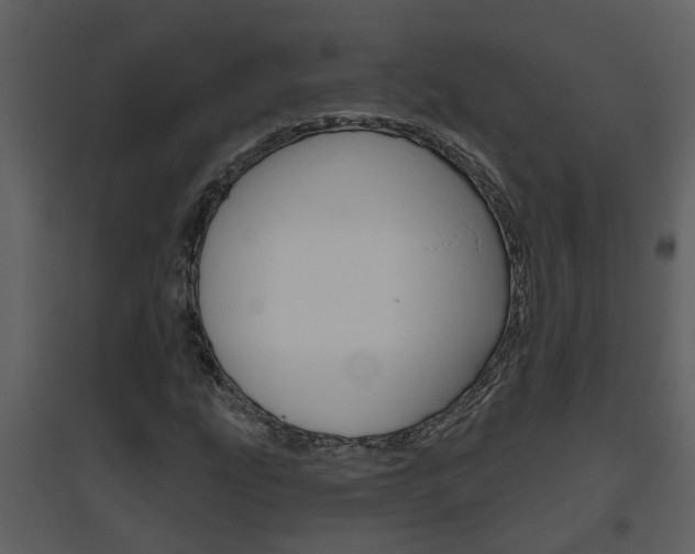 X0000094791207200711160908