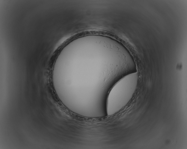 X0000094791208200711160908