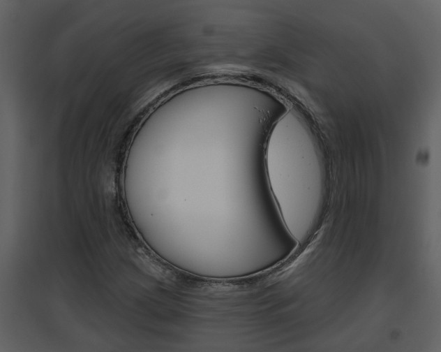 X0000094791209200711160908
