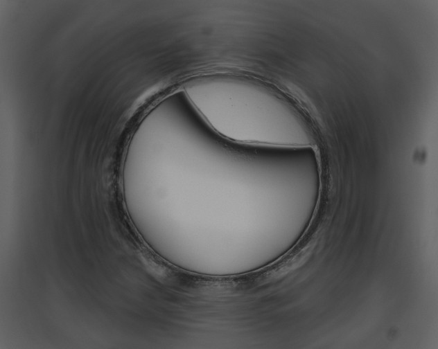 X0000094791210200711160908